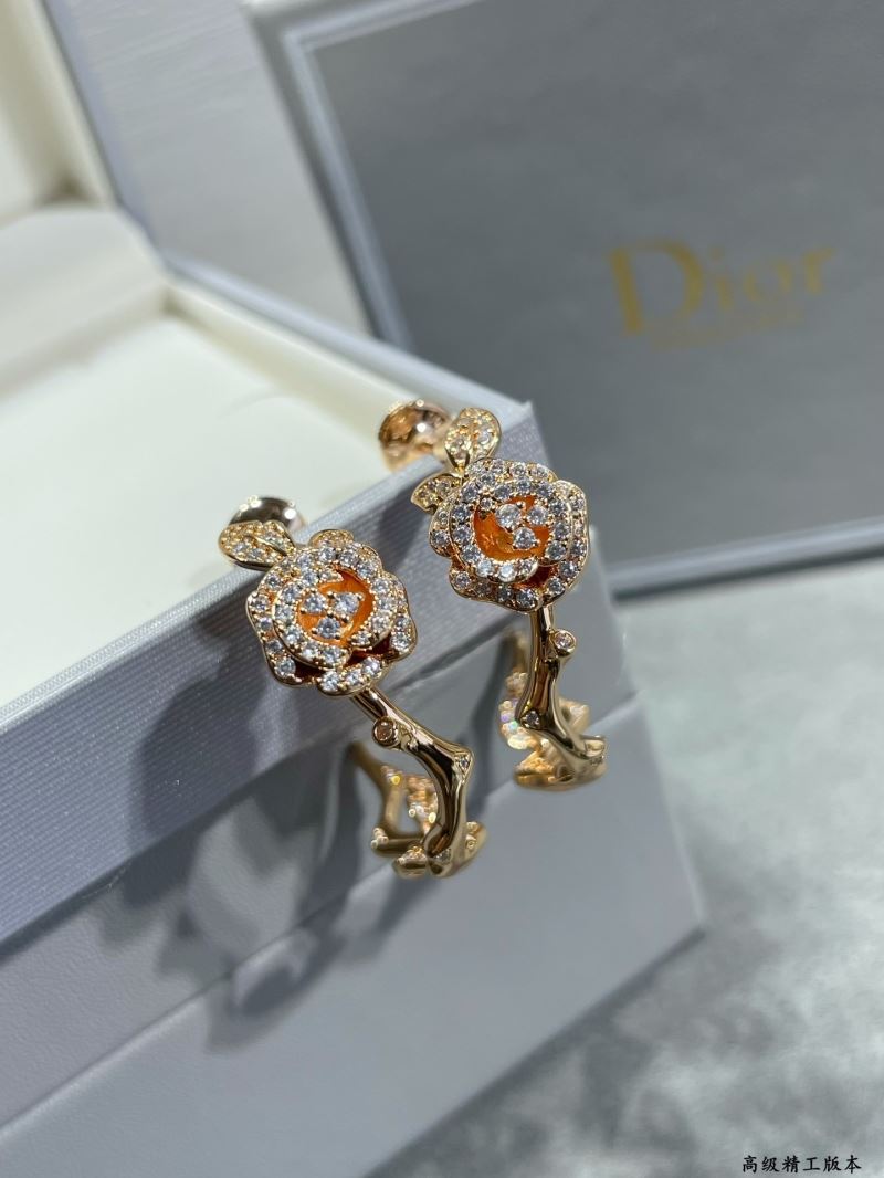 Christian Dior Earrings